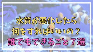 水質が悪化したらやること